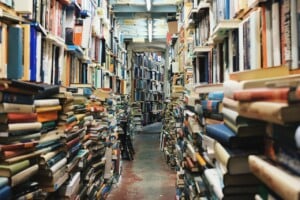 Library with plenty of books 