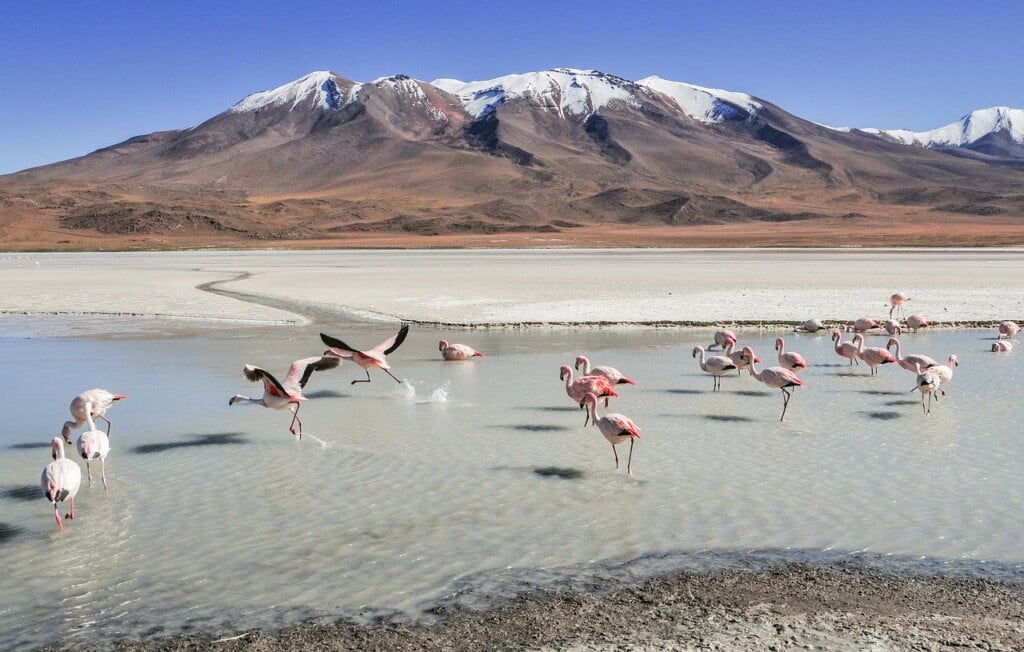 A picture of the laguna lakes in Bolivia.