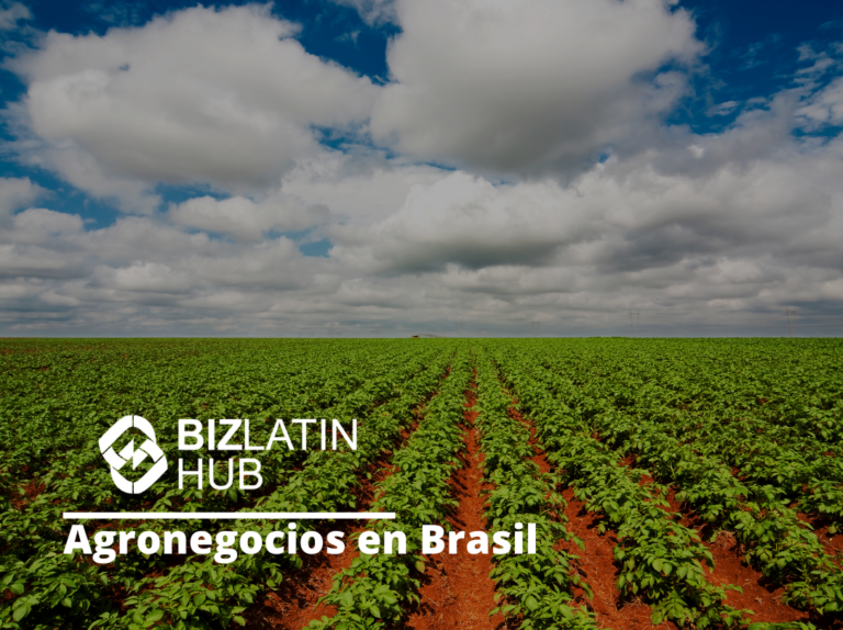 Featured image para un artículo sobre agronegocios Brasil