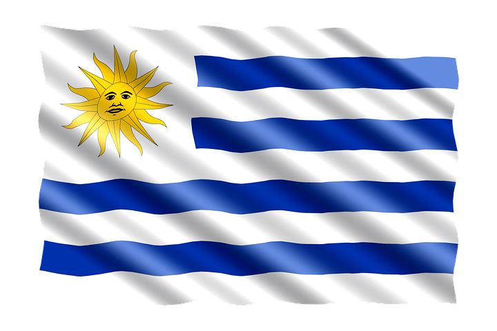 Uruguayan flag.