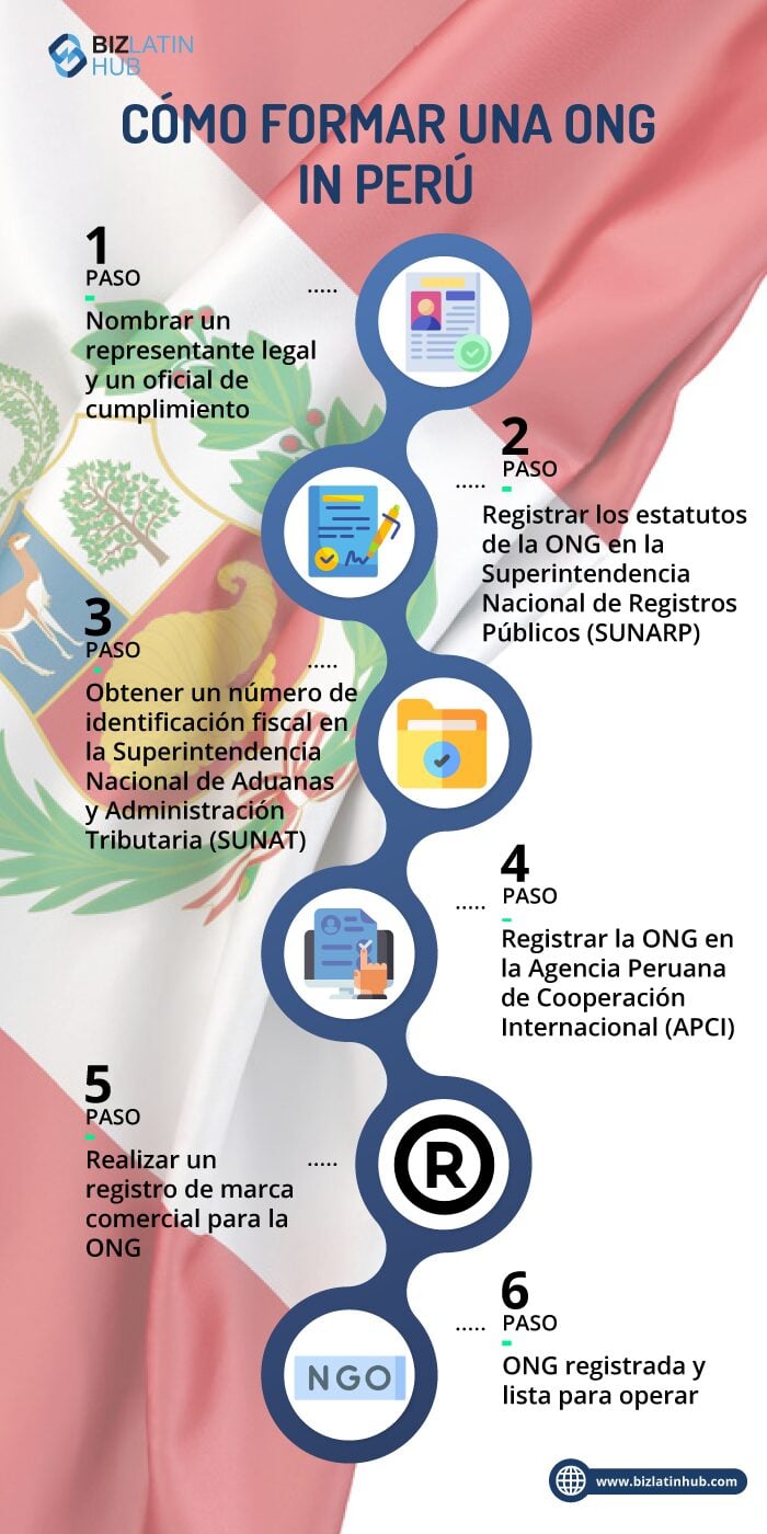 infografia pasos para formar una ONG en Peru