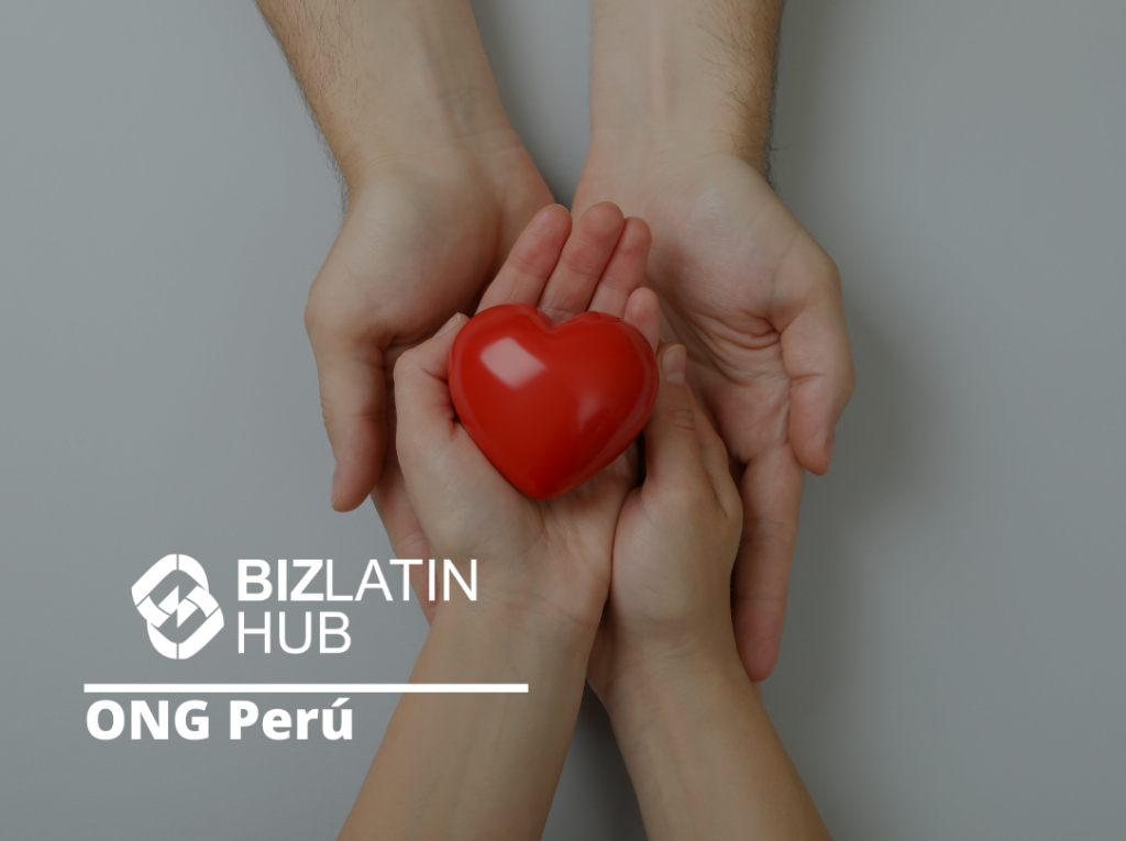 ¿Qué necesitas saber para formar una ONG en Perú?