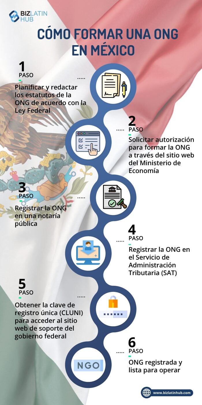 infografia pasos para formar ong en México