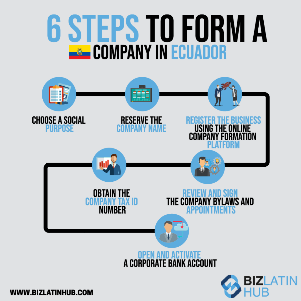 An infographic from biz latin hub showing the company formation process for an article on the steps for payroll processing in Ecuador.