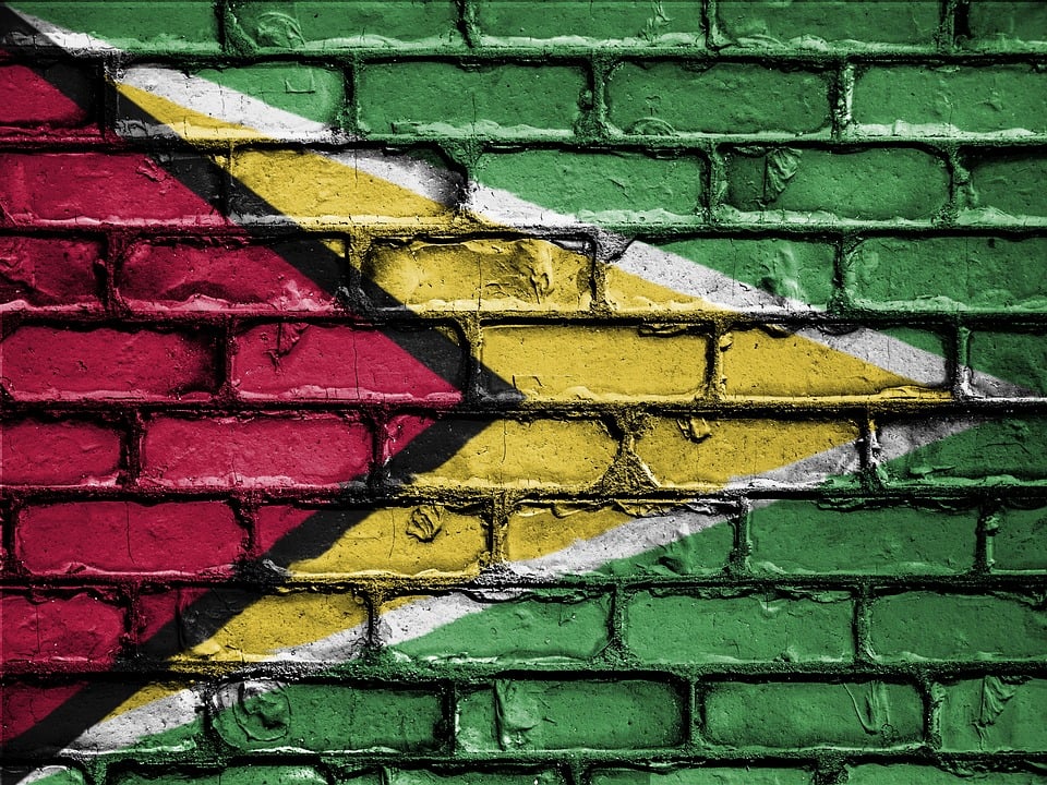 The Guyanese flag painted onto a wall. A number of business opportunities can be found in Guyana