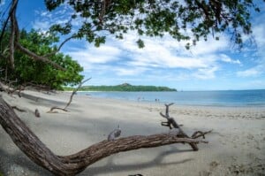 Playa Conchal in Costa Rica, where companies must comply with financial regulatory compliance