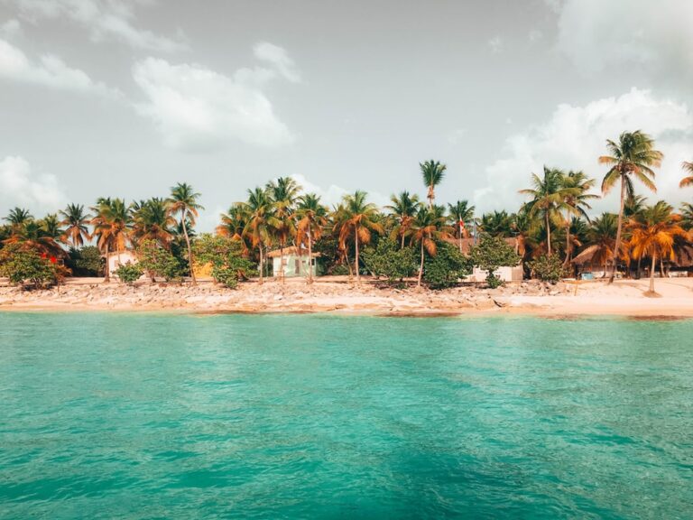 República Dominicana Servicios Back Office