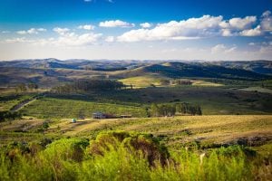 Salto de Penitente in Uruguay, where you may need a cgood corporate legal firm to provide legal services