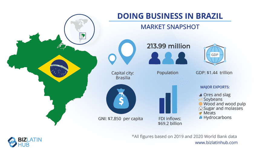 What are the 4 Main Company Types in Brazil?