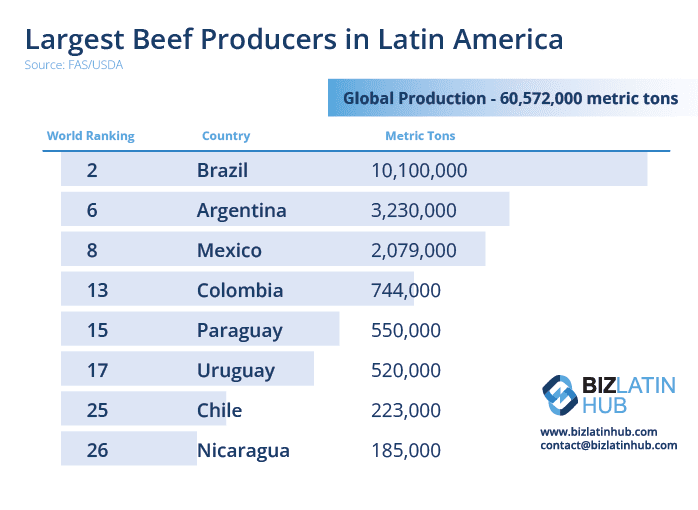A Biz Latin Hub graphic showing the top beef producers in Latin America, where Uruguay is a pioneer of carbon neutral meat.