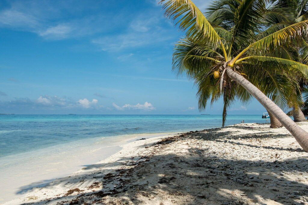 Uma foto de uma praia em Belize