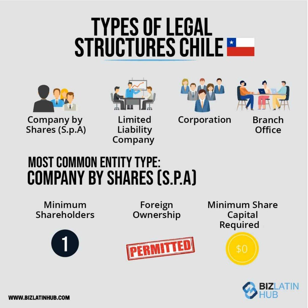 infographic about types of legal structures en Chile. Legal representative in Chile. Biz latin hub.