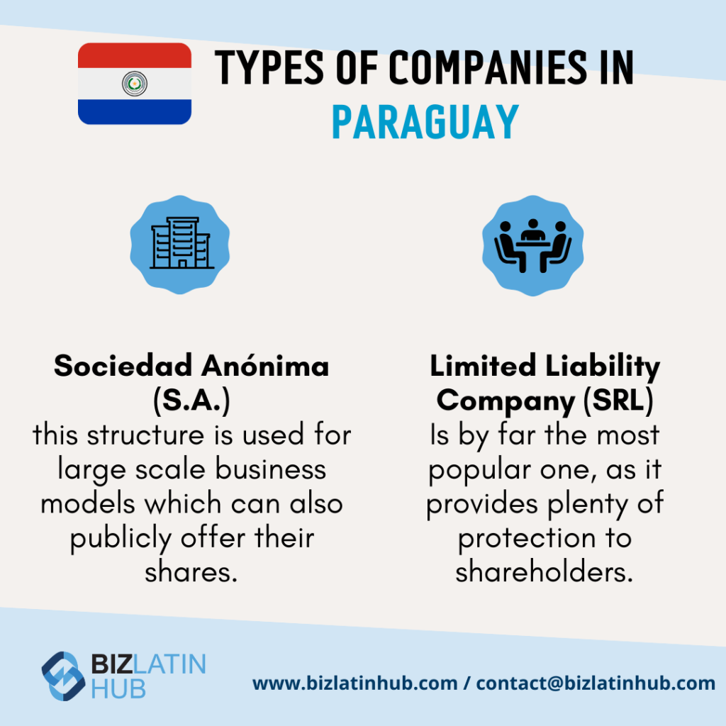 Types of companies in Paraguay infographic by biz latin hub.