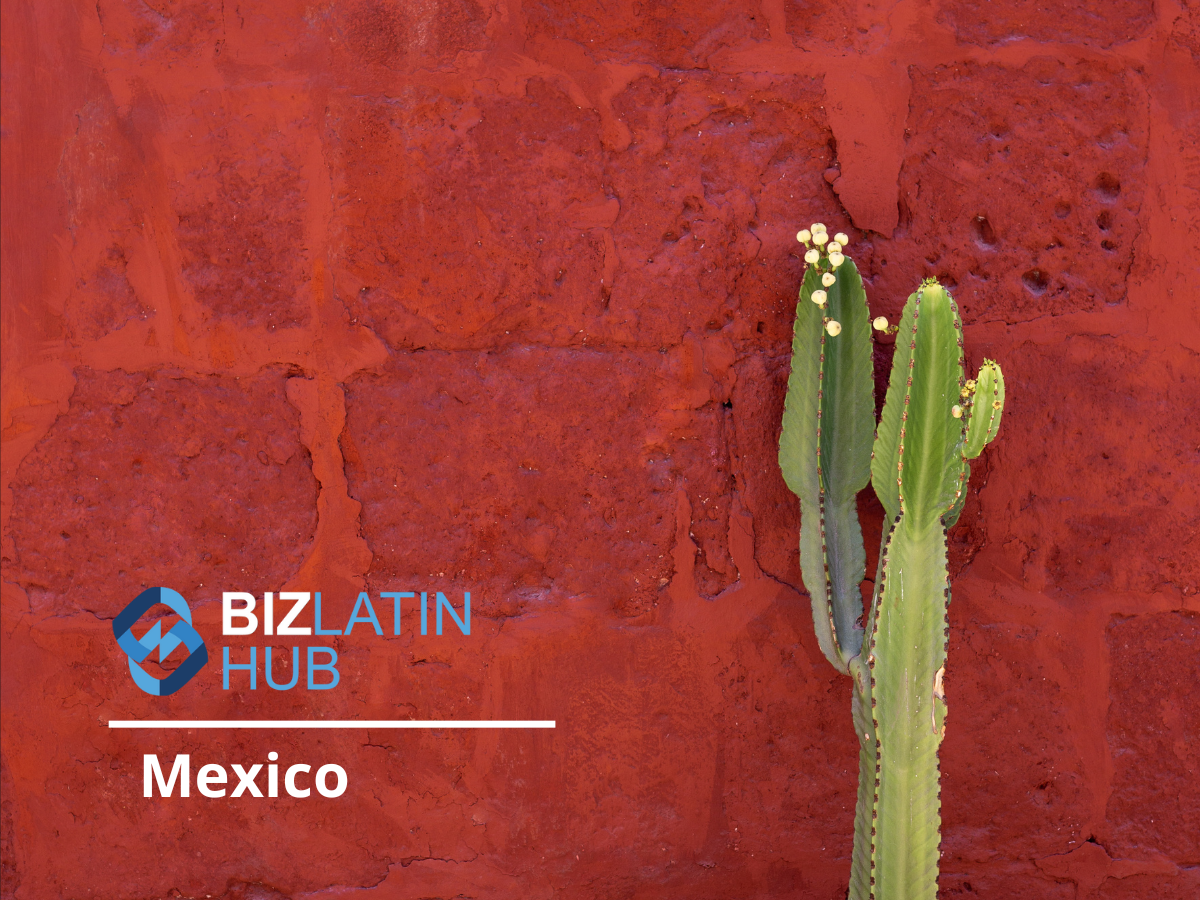 International Taxes in Mexico What You Need to Know