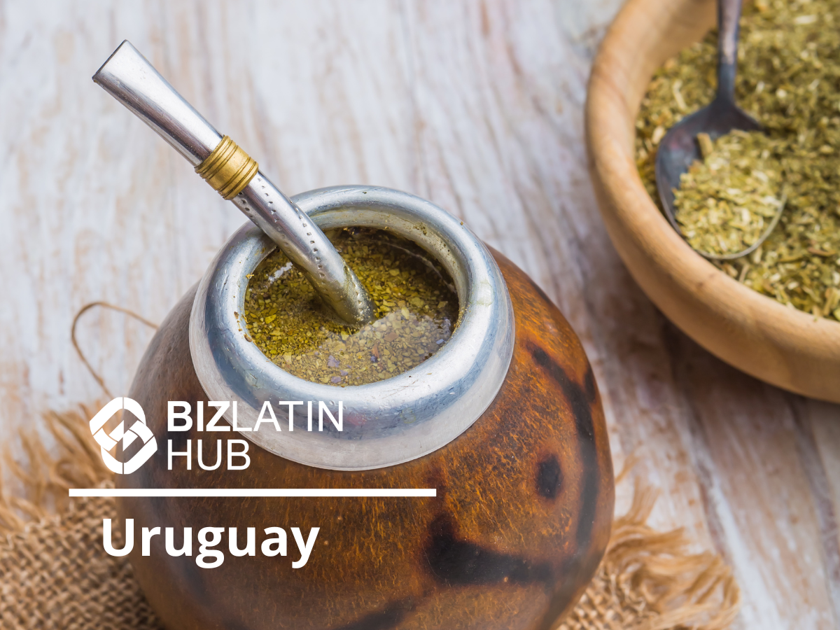 Tax Residency in Uruguay Fiscal Benefits and Opportunities
