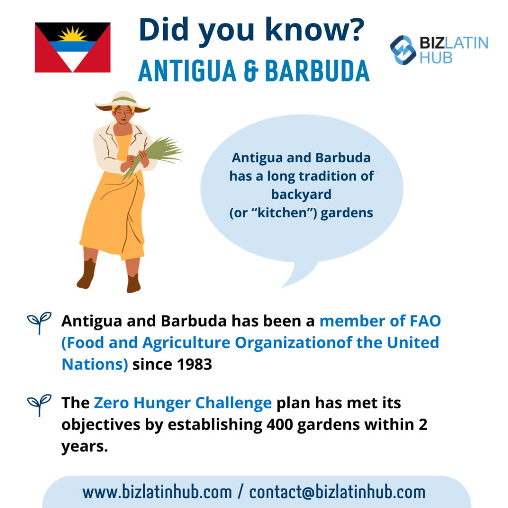 Informational graphic about Antigua and Barbuda with the country's flag, showcasing a woman holding crops. Text highlights the tradition of backyard gardens, FAO membership since 1983, achieving the Zero Hunger Challenge with 400 gardens in two years, and mentions legal services in Antigua and Barbuda.