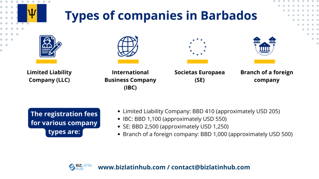 Open a Corporate Bank Account in Barbados, Types of companies in Barbados infographic by Biz Latin Hub