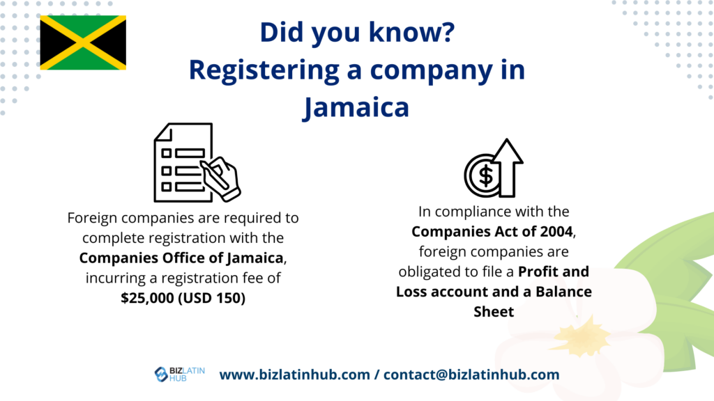 Did you know? Registering a company in Jamaica infographic by Biz Latin Hub for an article about Company Formation in Jamaica
