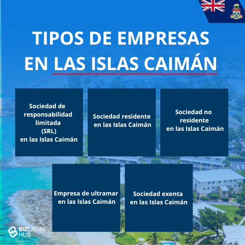 Infografía titulada "Tipos de empresas en las Islas Caimán" con un fondo de una zona costera. Enumera: Sociedad de responsabilidad limitada (SRL) en las Islas Caimán, Sociedad residente en las Islas Caimán, Sociedad no residente en las Islas Caimán, Sociedad de ultramar, Sociedad exenta en las Islas Caimán. Ideal para entender la constitución de empresas en las Islas Caimán.